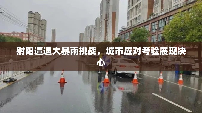 射阳遭遇大暴雨挑战,城市应对考验展现决心
