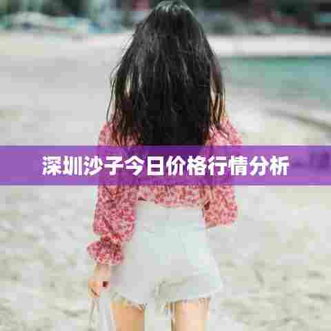 深圳沙子今日价格行情分析