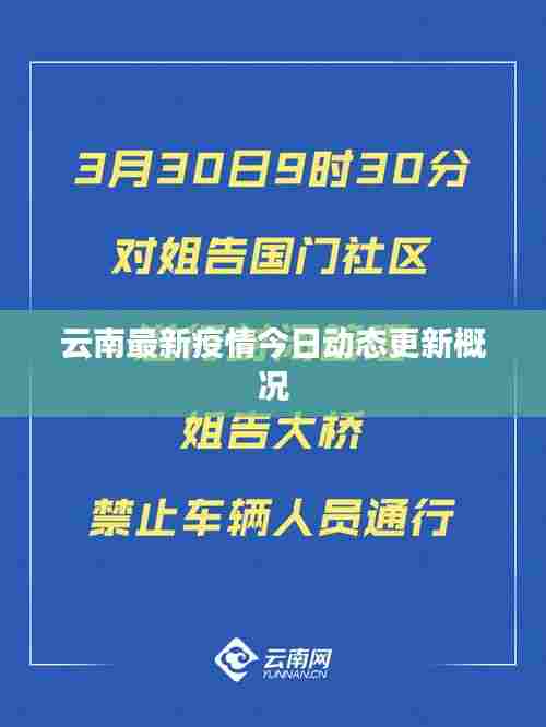 云南最新疫情今日动态更新概况