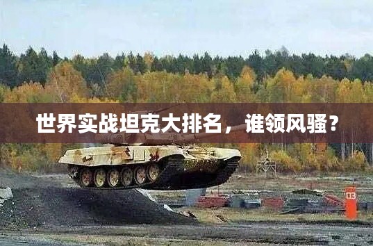 世界实战坦克大排名,谁领风骚?