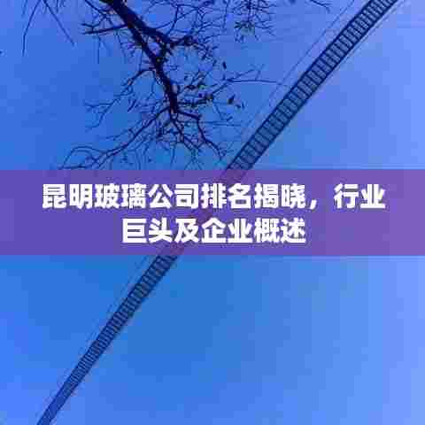 昆明玻璃公司排名揭晓，行业巨头及企业概述