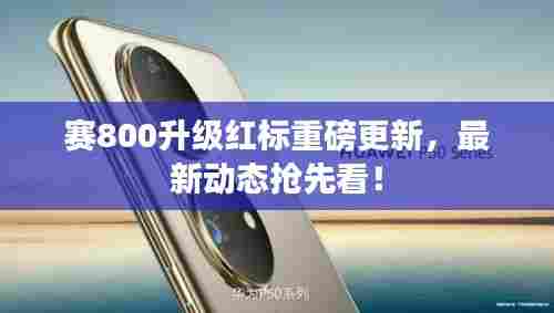 赛800升级红标重磅更新,最新动态抢先看!