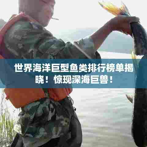 世界海洋巨型鱼类排行榜单揭晓!惊现深海巨兽!