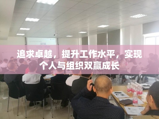 追求卓越,提升工作水平,实现个人与组织双赢成长