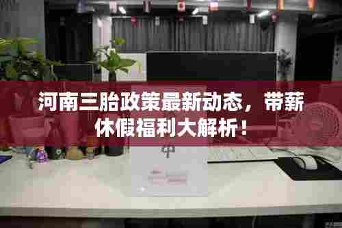 河南三胎政策最新动态,带薪休假福利大解析!