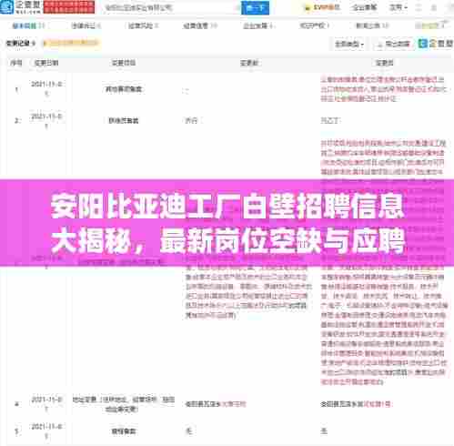 安阳比亚迪工厂白壁招聘信息大揭秘，最新岗位空缺与应聘指南