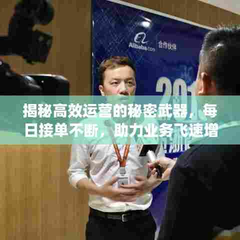 揭秘高效运营的秘密武器，每日接单不断，助力业务飞速增长！