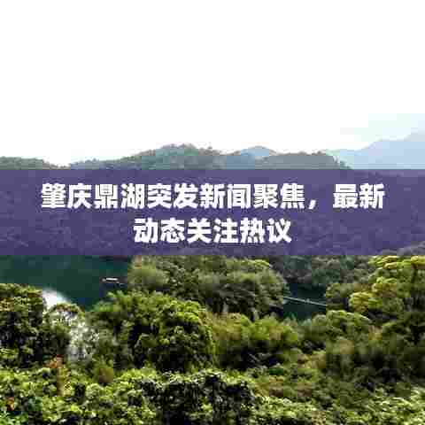 肇庆鼎湖突发新闻聚焦,最新动态关注热议