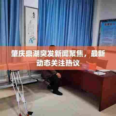 肇庆鼎湖突发新闻聚焦,最新动态关注热议