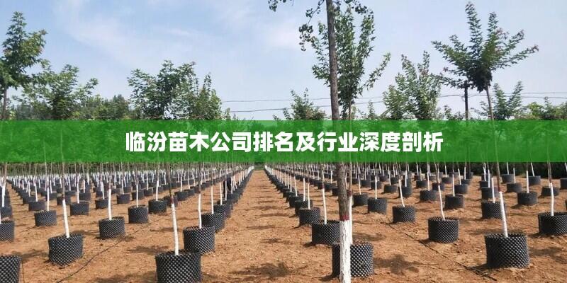 临汾苗木公司排名及行业深度剖析