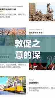 敦促之意的深度解读，一网打尽，不容错过！