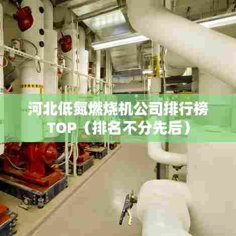 河北低氮燃烧机公司排行榜TOP（排名不分先后）