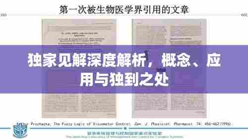独家见解深度解析，概念、应用与独到之处