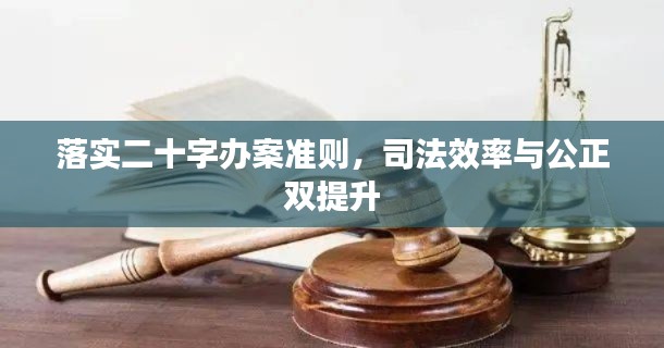 落实二十字办案准则,司法效率与公正双提升