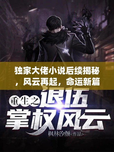 独家大佬小说后续揭秘,风云再起,命运新篇章重磅来袭!