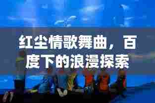 红尘情歌舞曲,百度下的浪漫探索之旅