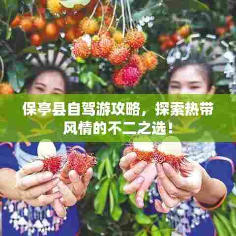 保亭县自驾游攻略,探索热带风情的不二之选!