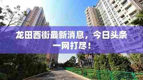 龙田西街最新消息,今日头条一网打尽!