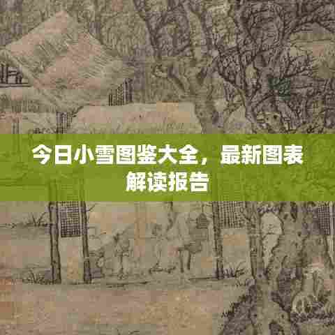 今日小雪图鉴大全，最新图表解读报告