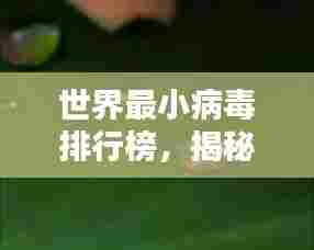 世界最小病毒排行榜,揭秘微小生命体的神秘面纱