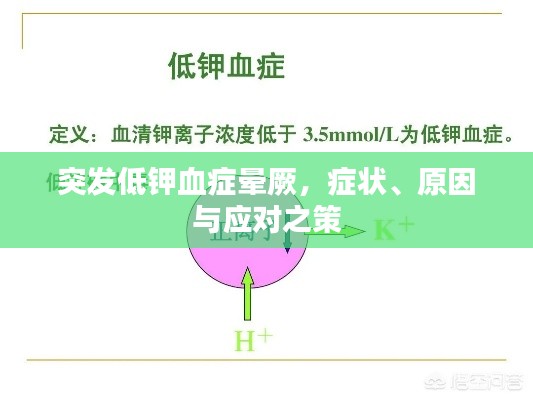 突发低钾血症晕厥,症状、原因与应对之策