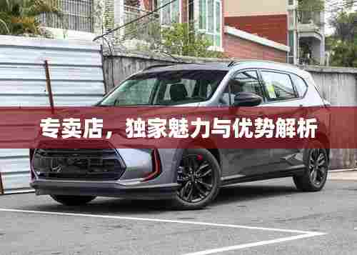 专卖店,独家魅力与优势解析