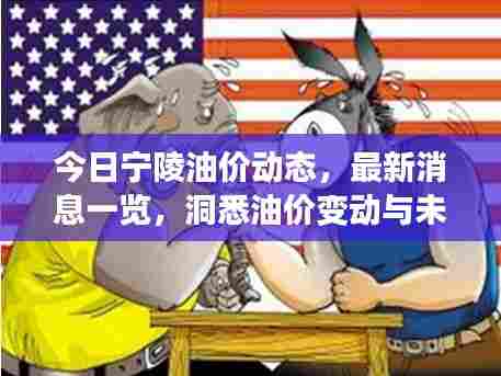 今日宁陵油价动态,最新消息一览,洞悉油价变动与未来趋势展望