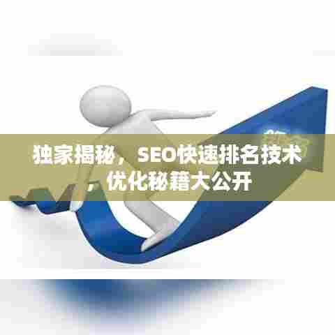 独家揭秘,SEO快速排名技术,优化秘籍大公开