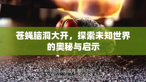 苍蝇脑洞大开,探索未知世界的奥秘与启示
