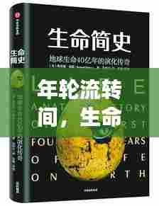 年轮流转间,生命的演变与历史的深邃沉淀