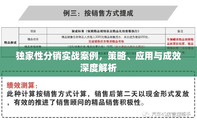 独家性分销实战案例，策略、应用与成效深度解析
