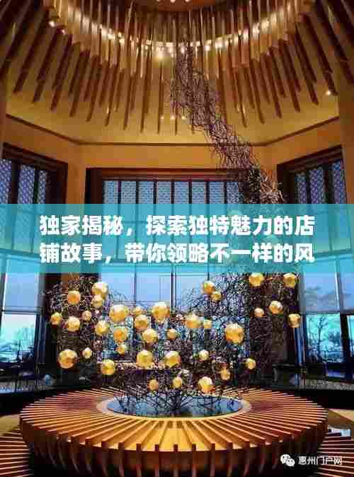 独家揭秘,探索独特魅力的店铺故事,带你领略不一样的风情体验