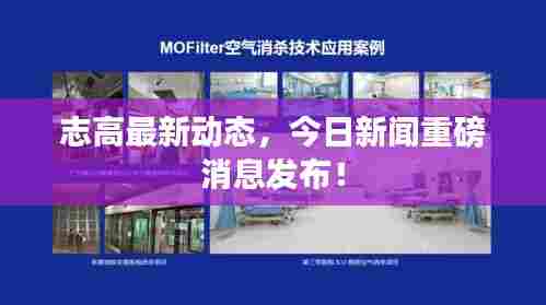 志高最新动态，今日新闻重磅消息发布！