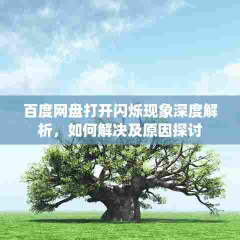 百度网盘打开闪烁现象深度解析,如何解决及原因探讨