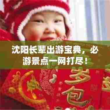 沈阳长辈出游宝典,必游景点一网打尽!