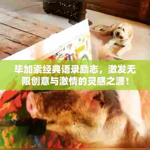 毕加索经典语录励志,激发无限创意与激情的灵感之源!