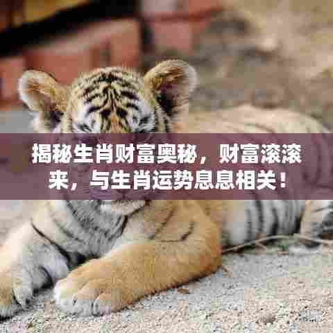 揭秘生肖财富奥秘,财富滚滚来,与生肖运势息息相关!