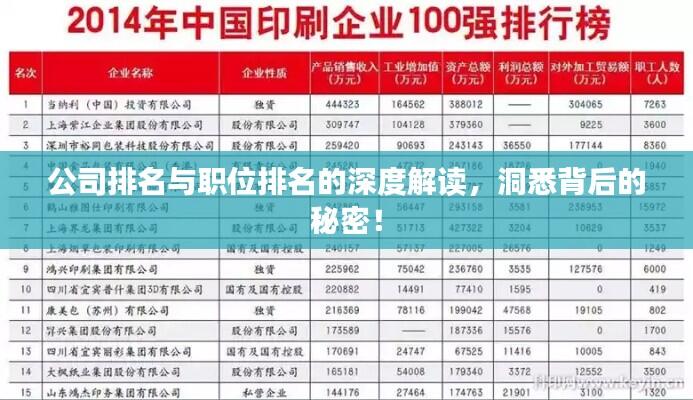公司排名与职位排名的深度解读,洞悉背后的秘密!