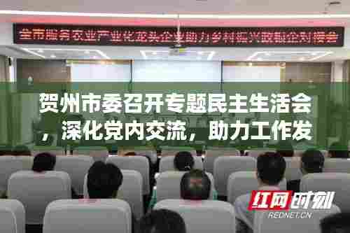 贺州市委召开专题民主生活会,深化党内交流,助力工作发展提速