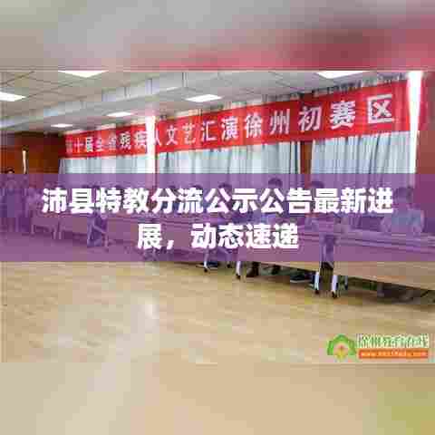沛县特教分流公示公告最新进展，动态速递
