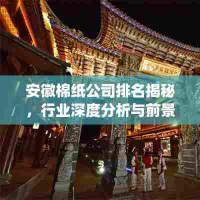 安徽棉纸公司排名揭秘,行业深度分析与前景展望