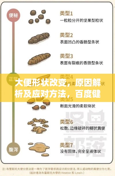 大便形状改变,原因解析及应对方法,百度健康收录标准标题