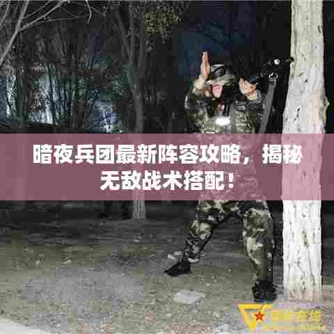 暗夜兵团最新阵容攻略,揭秘无敌战术搭配!
