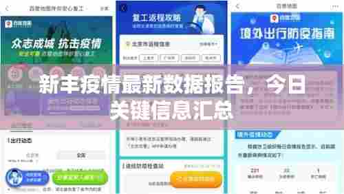 新丰疫情最新数据报告,今日关键信息汇总