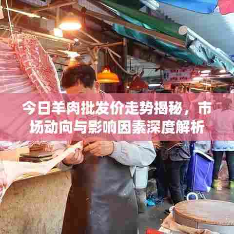 今日羊肉批发价走势揭秘,市场动向与影响因素深度解析