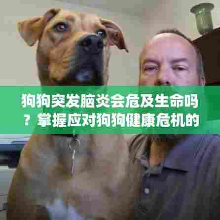 狗狗突发脑炎会危及生命吗?掌握应对狗狗健康危机的方法
