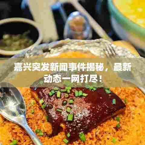 发奋图强 第5页