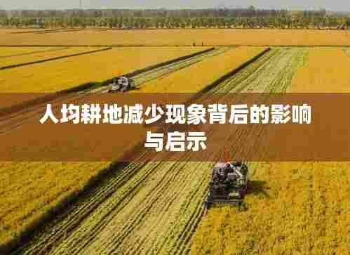 人均耕地减少现象背后的影响与启示