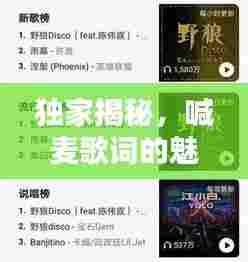 独家揭秘,喊麦歌词的魅力,试唱感受独特韵味