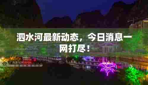 泗水河最新动态,今日消息一网打尽!